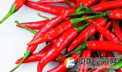 气体施肥:蔬菜种植革命