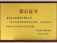 鲁西集团：以这种方式为老区人民献爱心