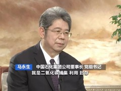 我国首个百万吨级CCUS项目即将投产！中石化董事长马永生解读国家能源安全保障