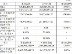 硅烷科技全年净利7767.33万，同比减少74.80%