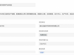 湖北迅盛50亿元硅烷项目备案信息公示