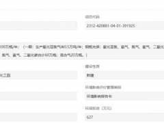湖北特气项目环评公示：年产2万吨氧化亚氮气体项目启动