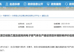 永修县硅碳新能源高纯电子气体项目启动，总投资6.8亿元