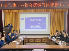 武钢气体“智慧工厂”通过国家级评审：行业首个数智化示范工程落地