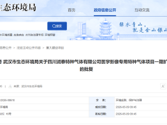 武汉光谱同位素(四川润泰)医学影像特气扩建项目获武环审〔2026〕16号批复,总产能99吨/年