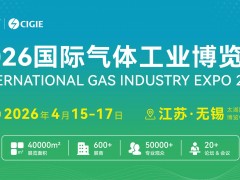 限量领取｜《中国气体行业投资年鉴（2025版）》纸质版